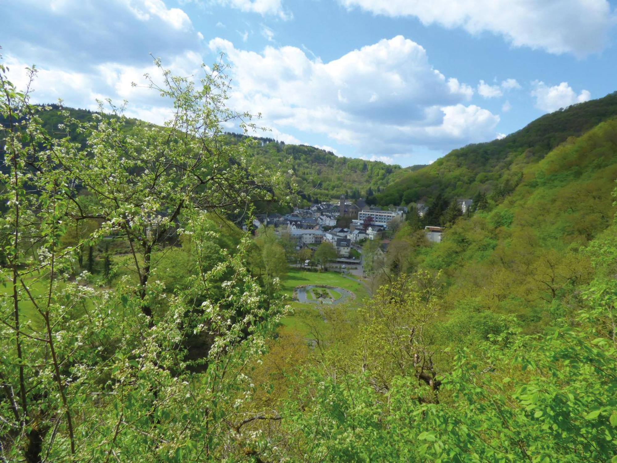 Apartament Landhaus Am Sonnenberg Bad Bertrich Zewnętrze zdjęcie